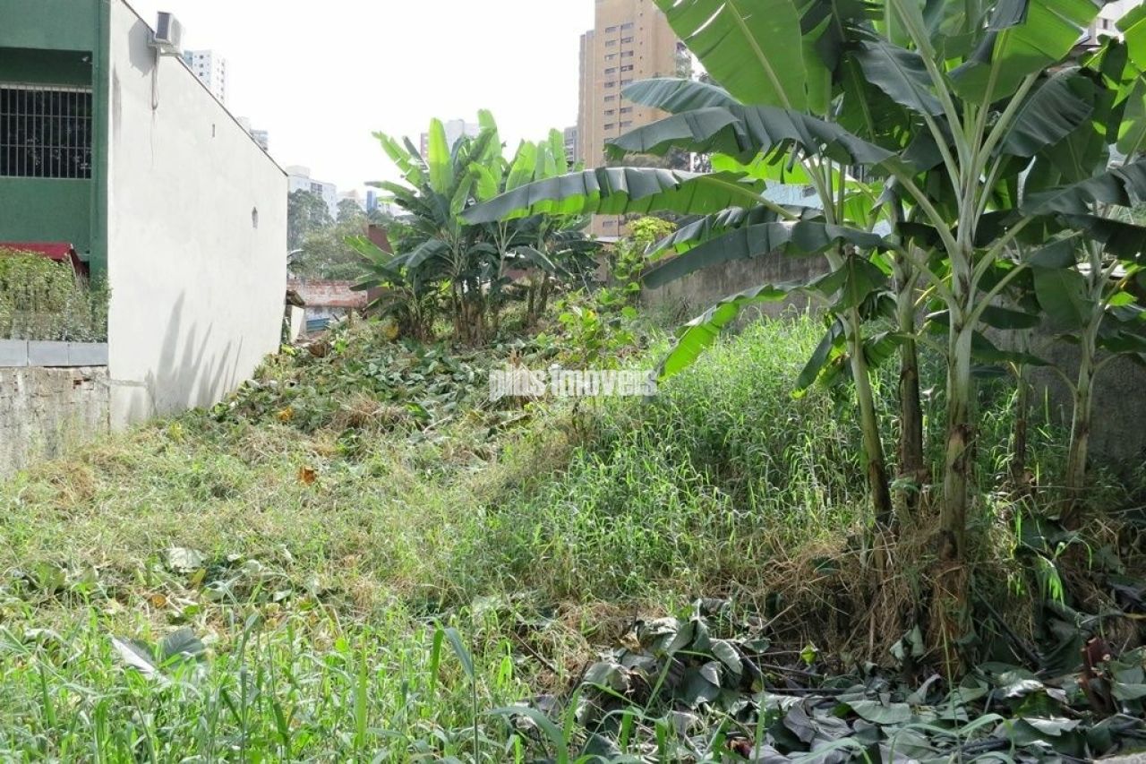 Terreno à venda, 300m² - Foto 6