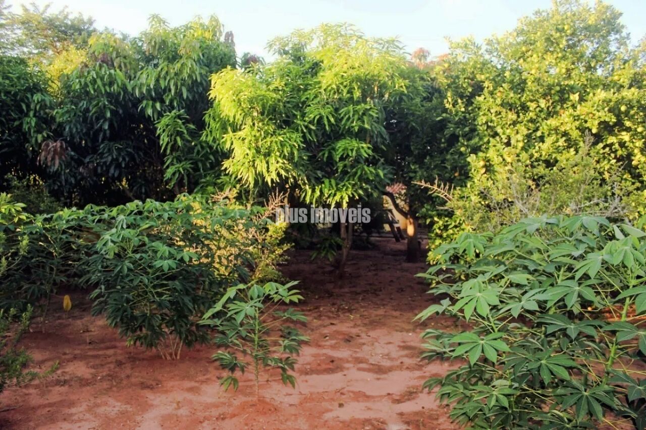 Chácara à venda com 9 quartos, 7007m² - Foto 16