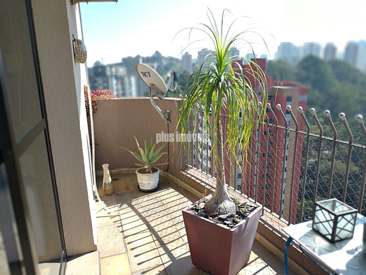 Apartamento, 3 quartos, 254 m² - Foto 5