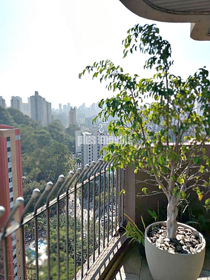Apartamento, 3 quartos, 254 m² - Foto 6