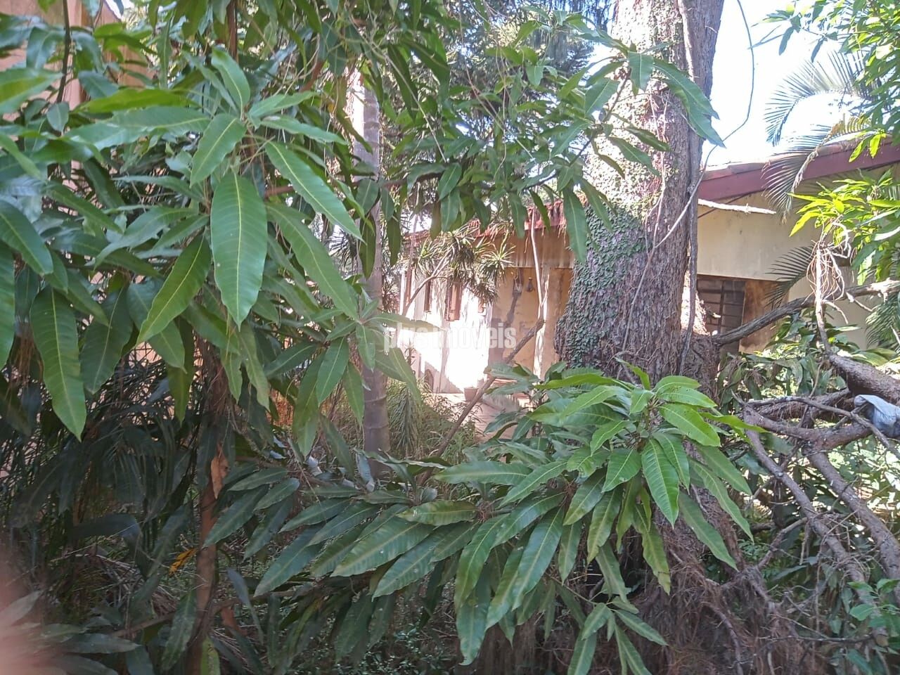 Terreno, 1250 m² - Foto 14