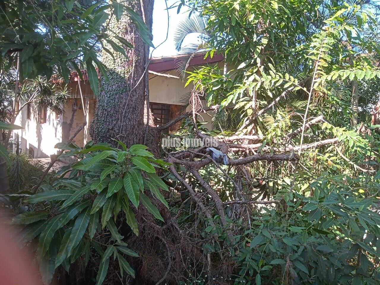 Terreno, 1250 m² - Foto 23