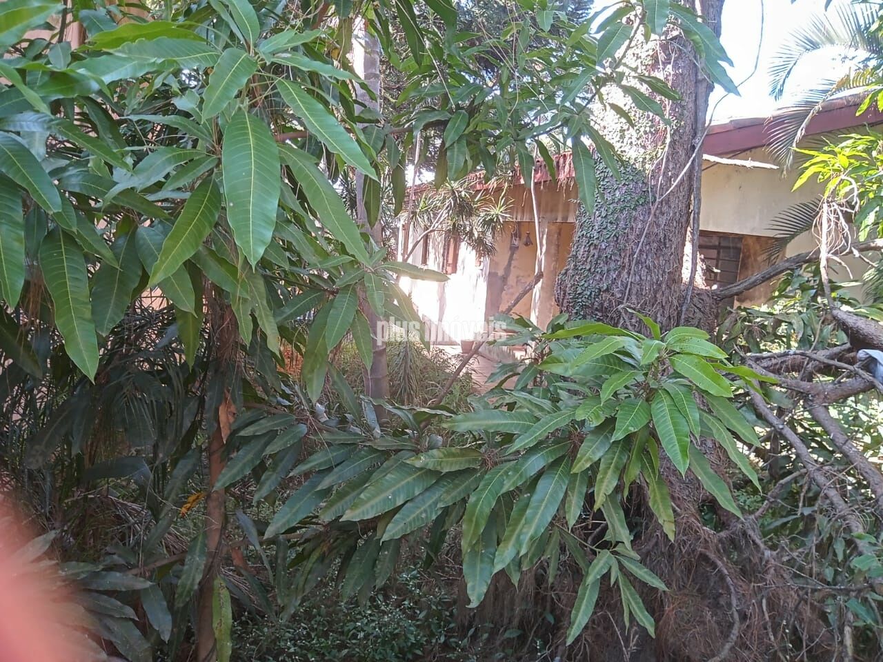 Terreno, 1250 m² - Foto 24