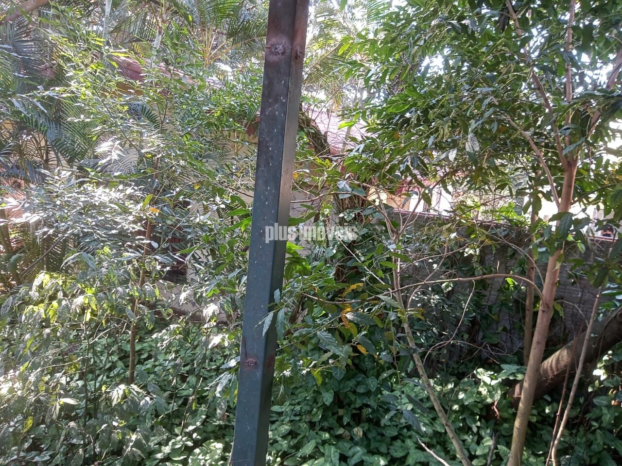 Terreno, 1250 m² - Foto 23