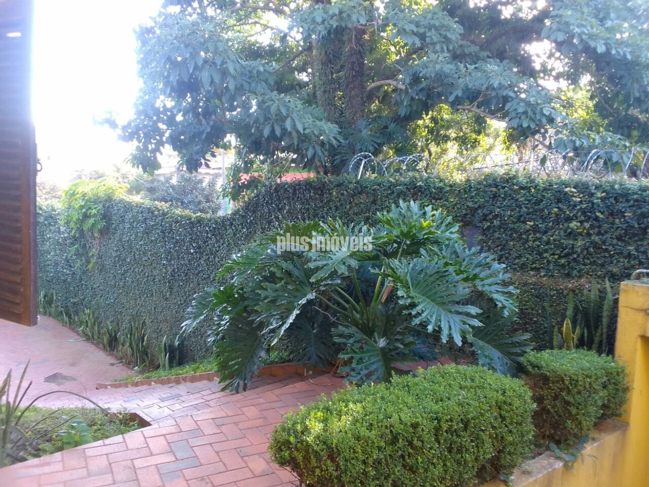 Casa, 3 quartos, 349 m² - Foto 4