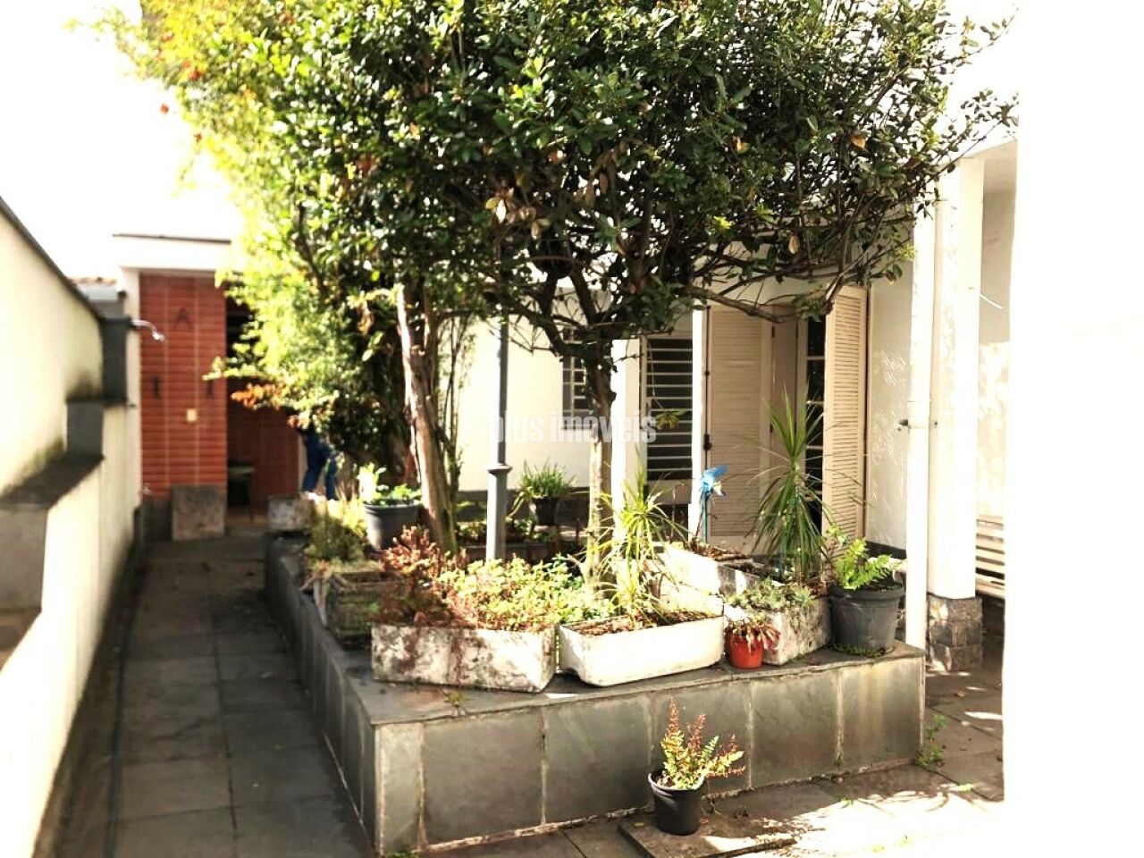 Casa, 5 quartos, 330 m² - Foto 13