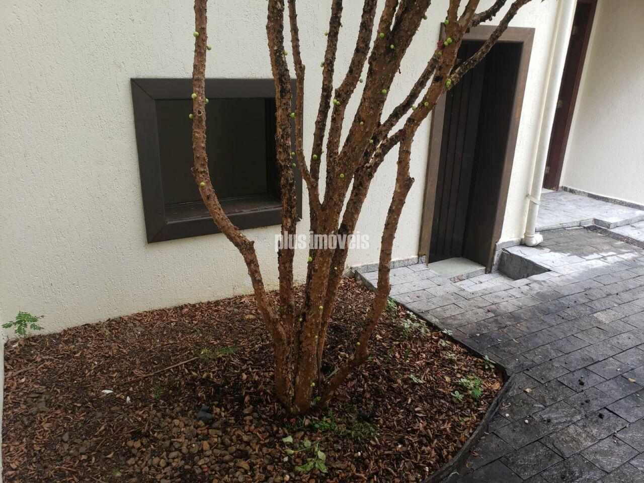 Casa, 3 quartos, 140 m² - Foto 4