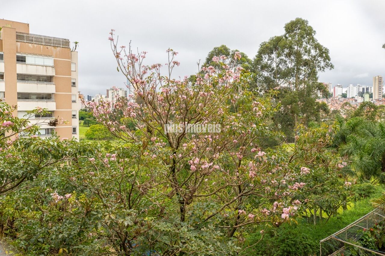 Apartamento, 3 quartos, 223 m² - Foto 20