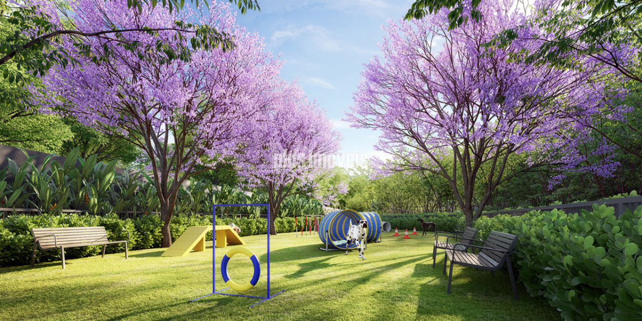 Apartamento, 4 quartos, 218 m² - Foto 24