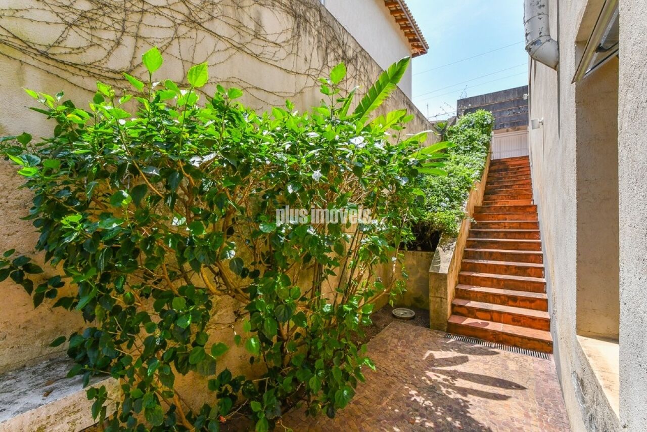 Casa, 4 quartos, 365 m² - Foto 50