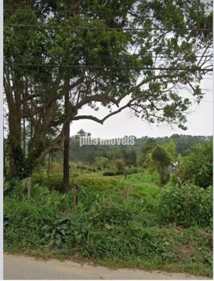 Terreno, 5 hectares - Foto 3