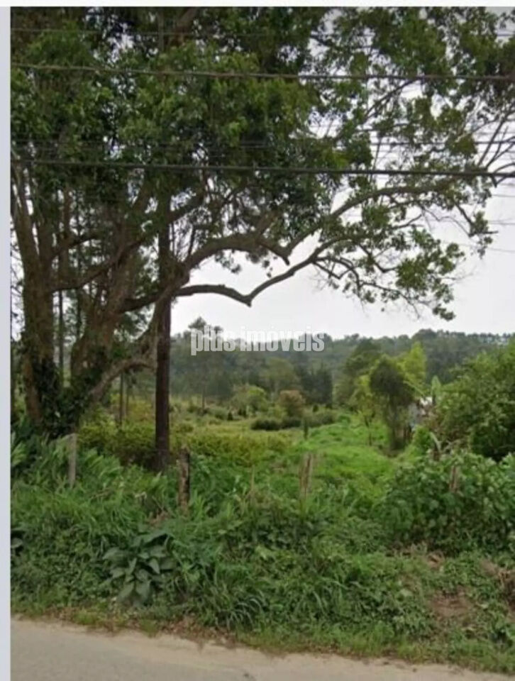 Terreno, 5 hectares - Foto 2