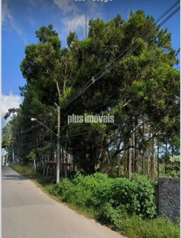 Terreno, 5 hectares - Foto 4