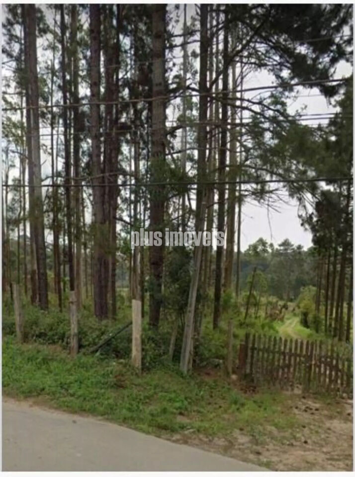 Terreno, 5 hectares - Foto 1