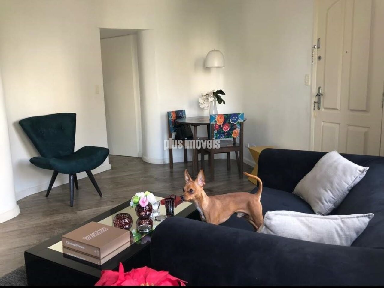 Foto 2