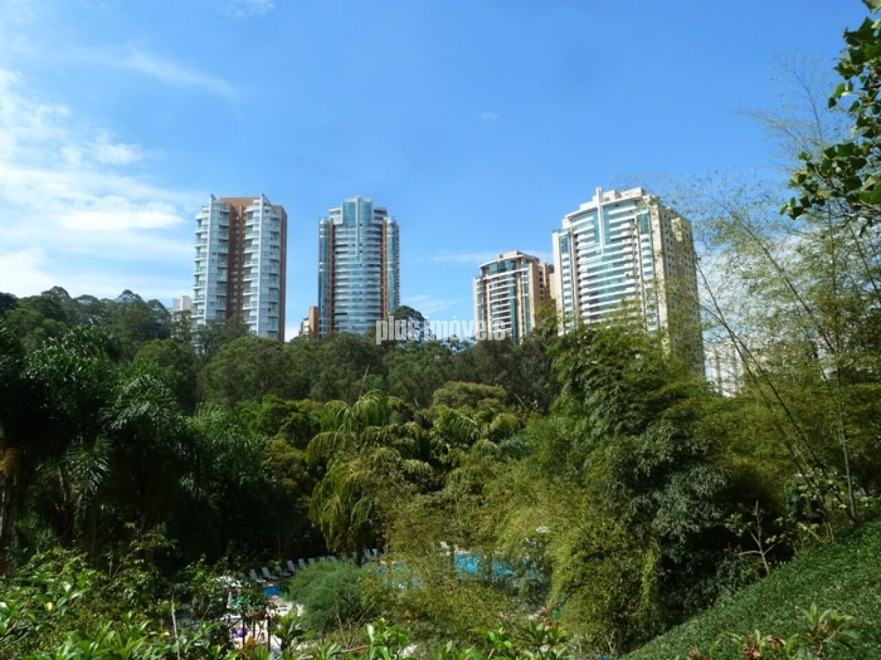 Foto 31