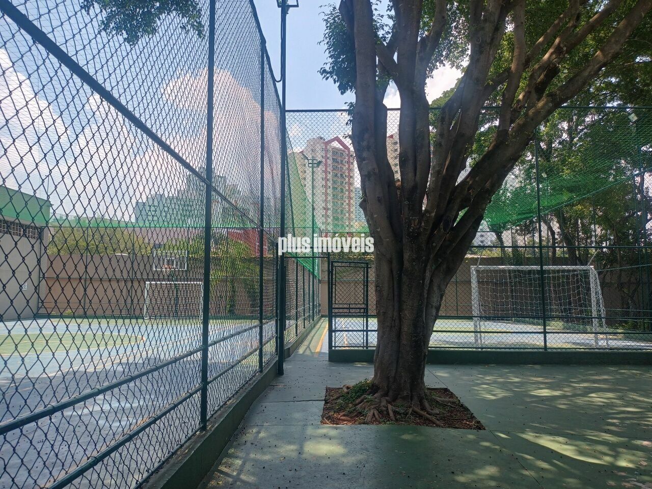 Foto 38