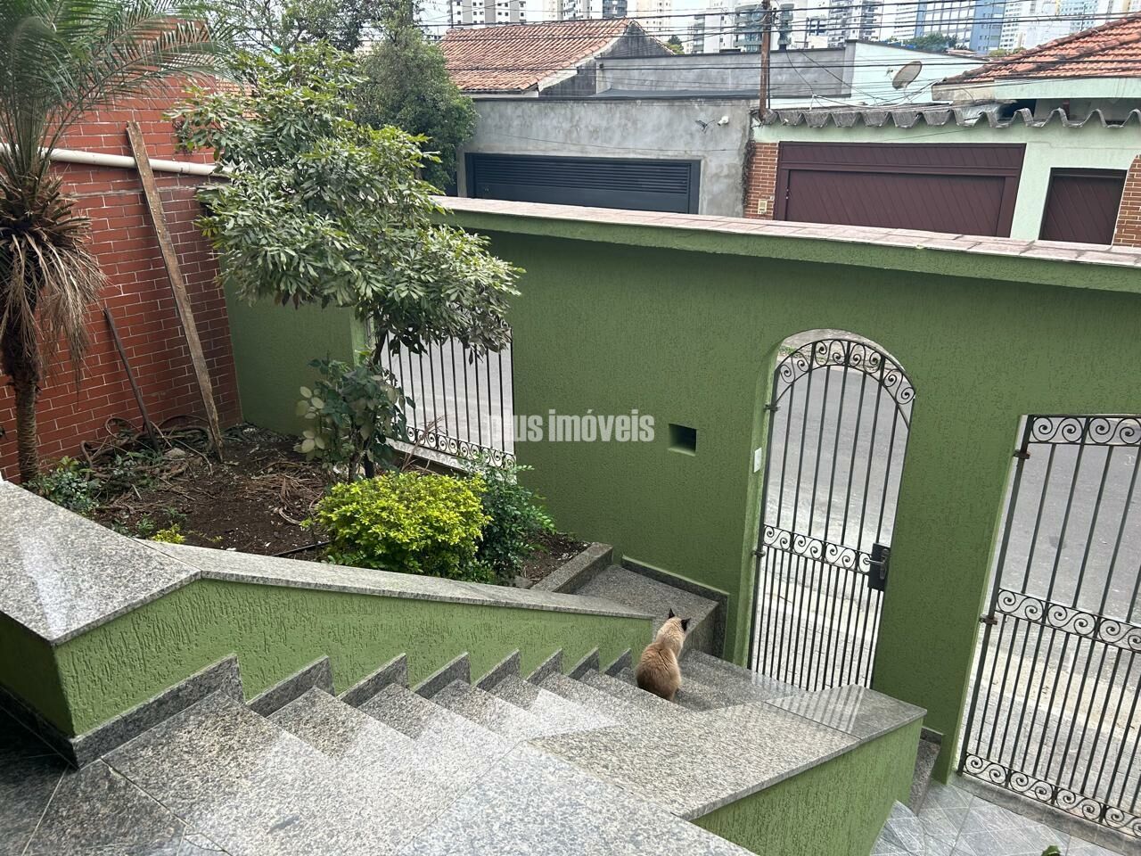 Casa, 5 quartos, 280 m² - Foto 36