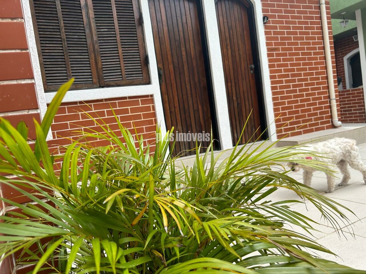 Casa, 5 quartos, 280 m² - Foto 20