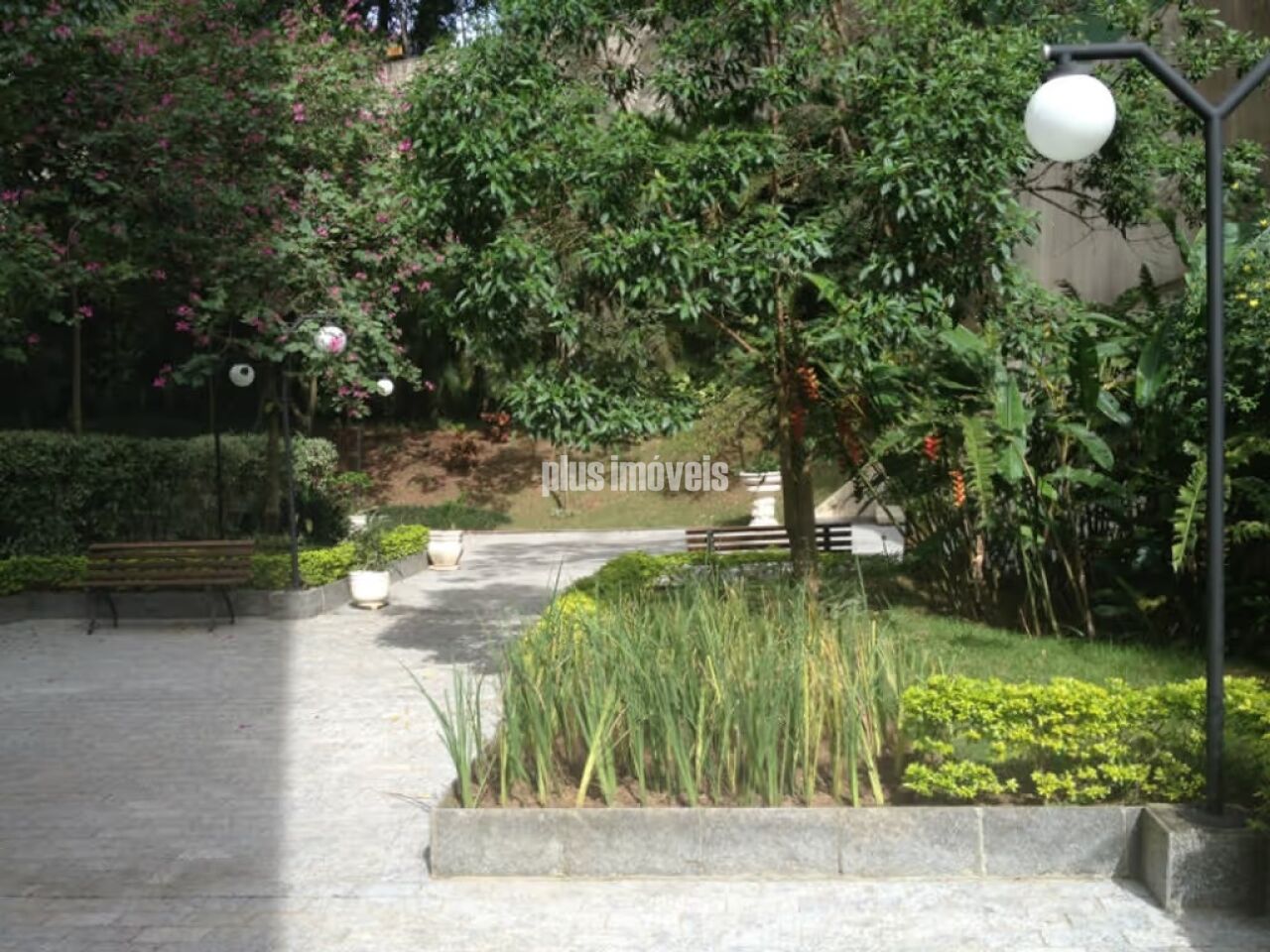 Foto 38