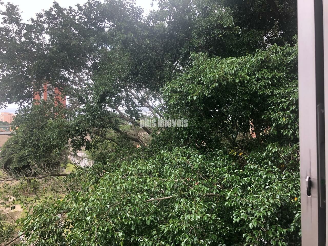 Foto 33