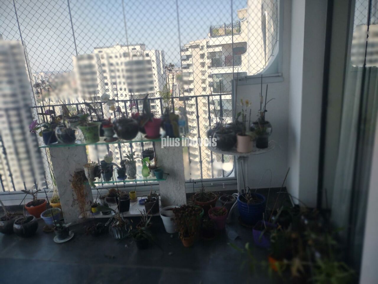Foto 31