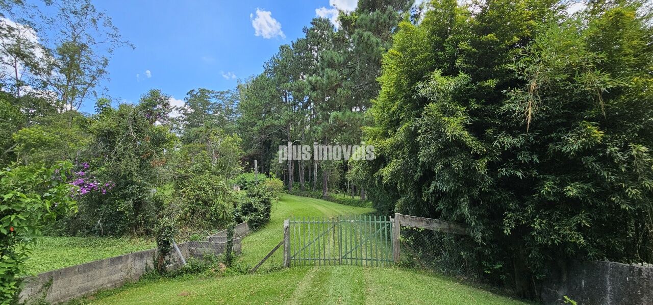 Sítio, 4 quartos, 5 hectares - Foto 8