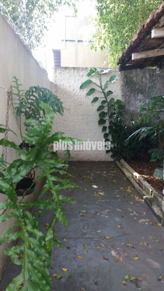 Casa, 4 quartos, 120 m² - Foto 10