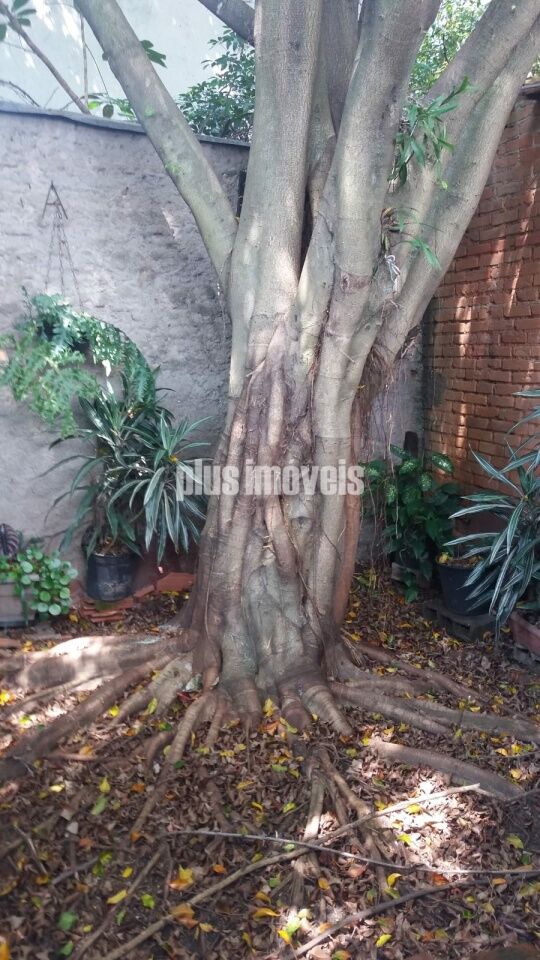 Casa, 4 quartos, 120 m² - Foto 11
