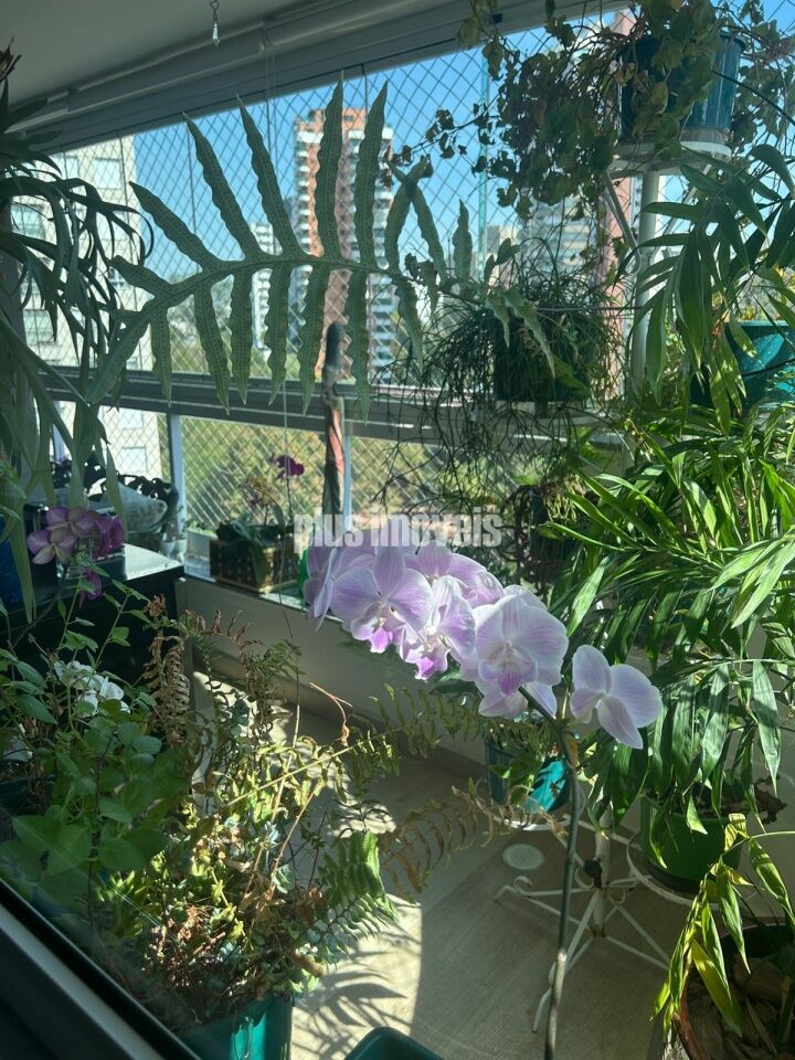 Apartamento, 3 quartos, 93 m² - Foto 30
