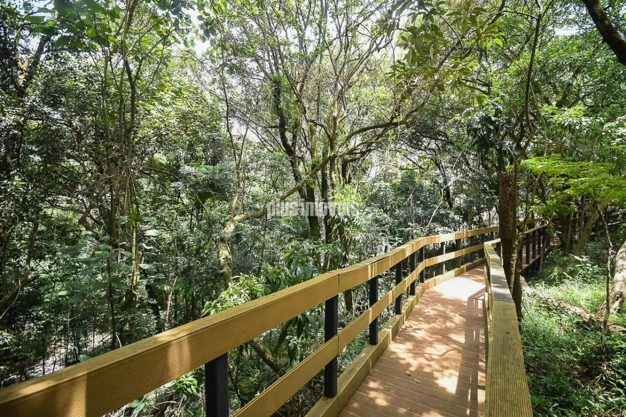 Apartamento, 1 quarto, 53 m² - Foto 38