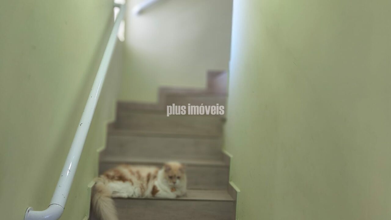 Casa, 3 quartos, 250 m² - Foto 11
