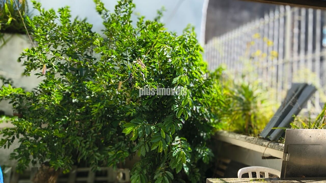 Casa, 3 quartos, 250 m² - Foto 30