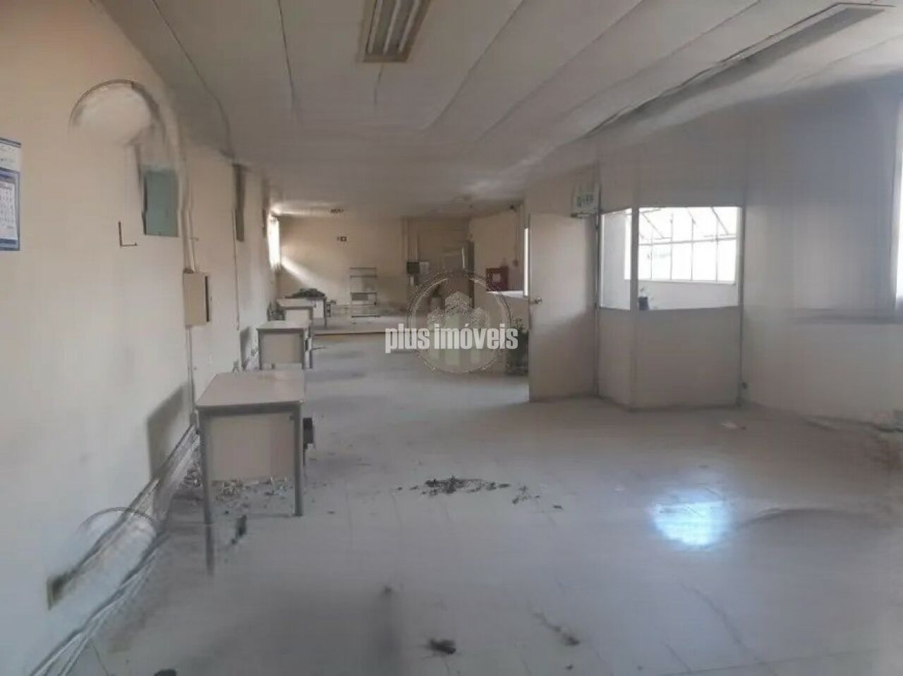 Depósito-Galpão, 2827 m² - Foto 5