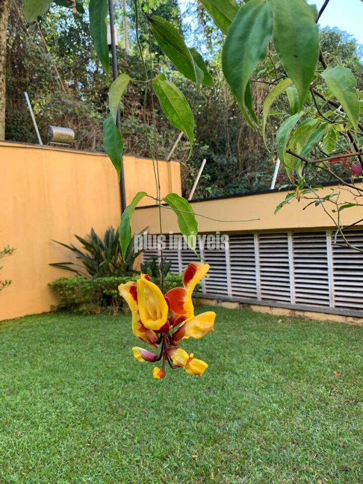 Apartamento, 3 quartos, 170 m² - Foto 32