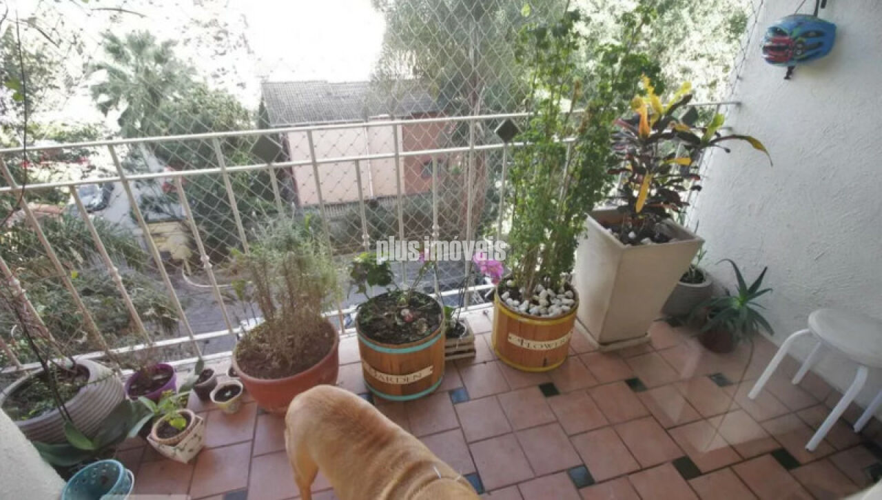 Apartamento, 4 quartos, 94 m² - Foto 17