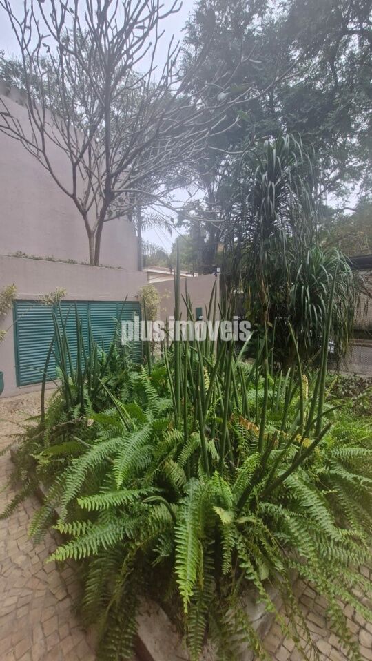 Casa, 4 quartos, 340 m² - Foto 43