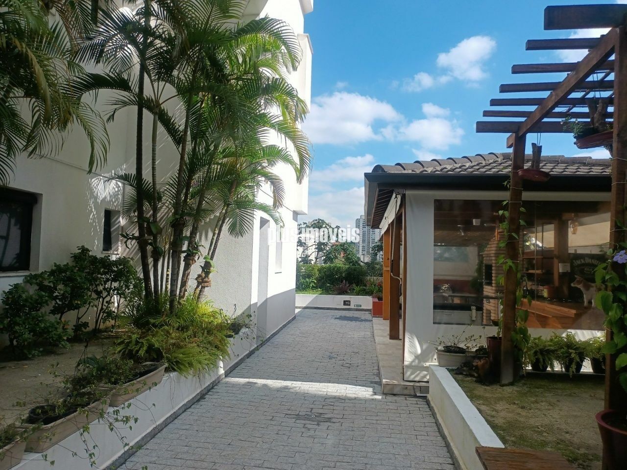 Apartamento, 3 quartos, 64 m² - Foto 25