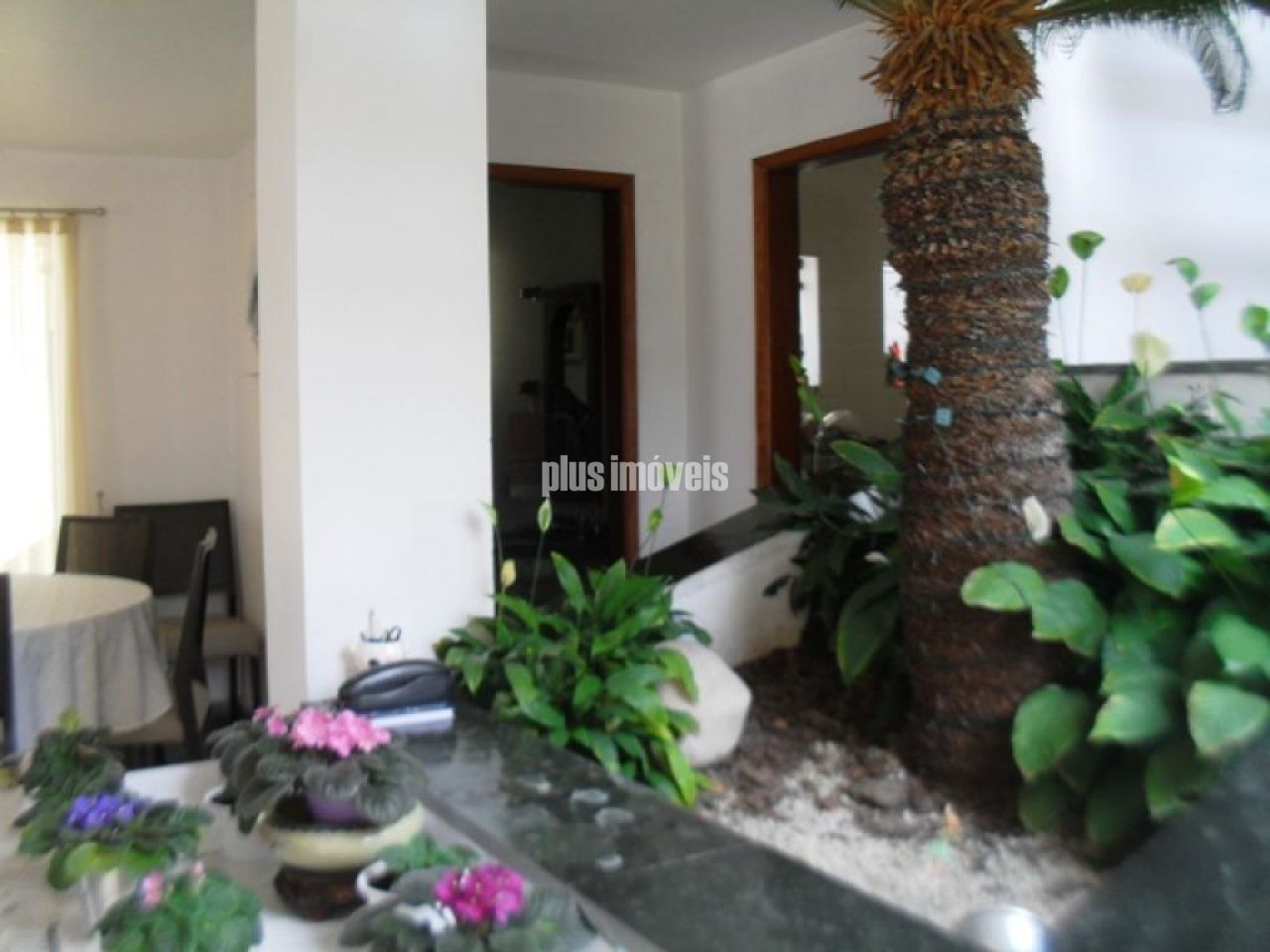 Casa, 3 quartos, 400 m² - Foto 6