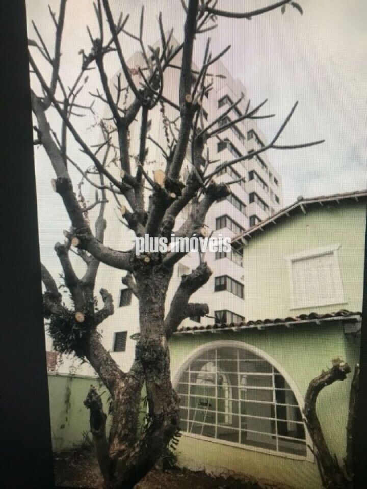 Casa, 6 quartos, 350 m² - Foto 26