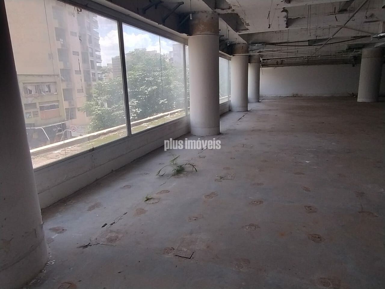 Foto 13