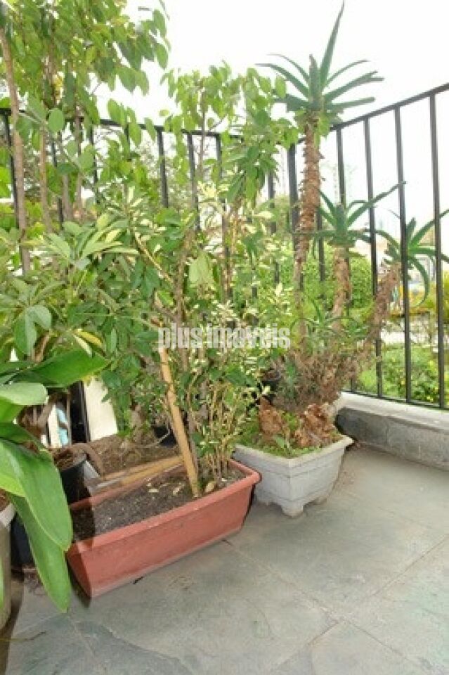 Foto 19