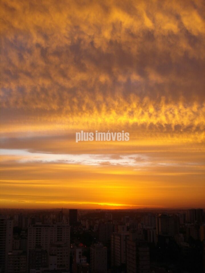 Foto 48