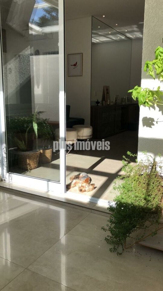 Foto 22