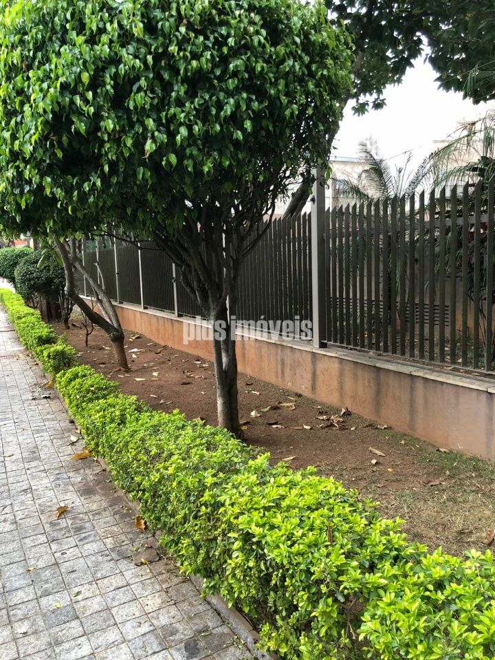 Apartamento, 3 quartos, 257 m² - Foto 11