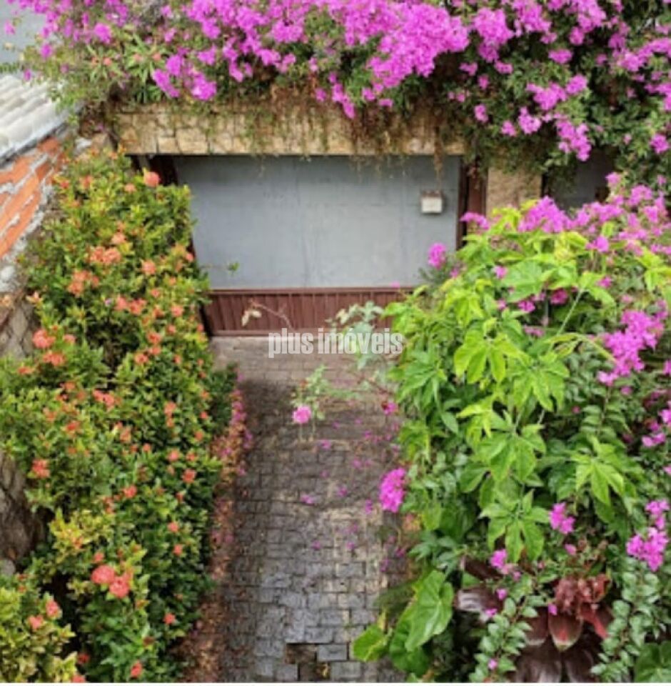 Casa, 4 quartos, 350 m² - Foto 12