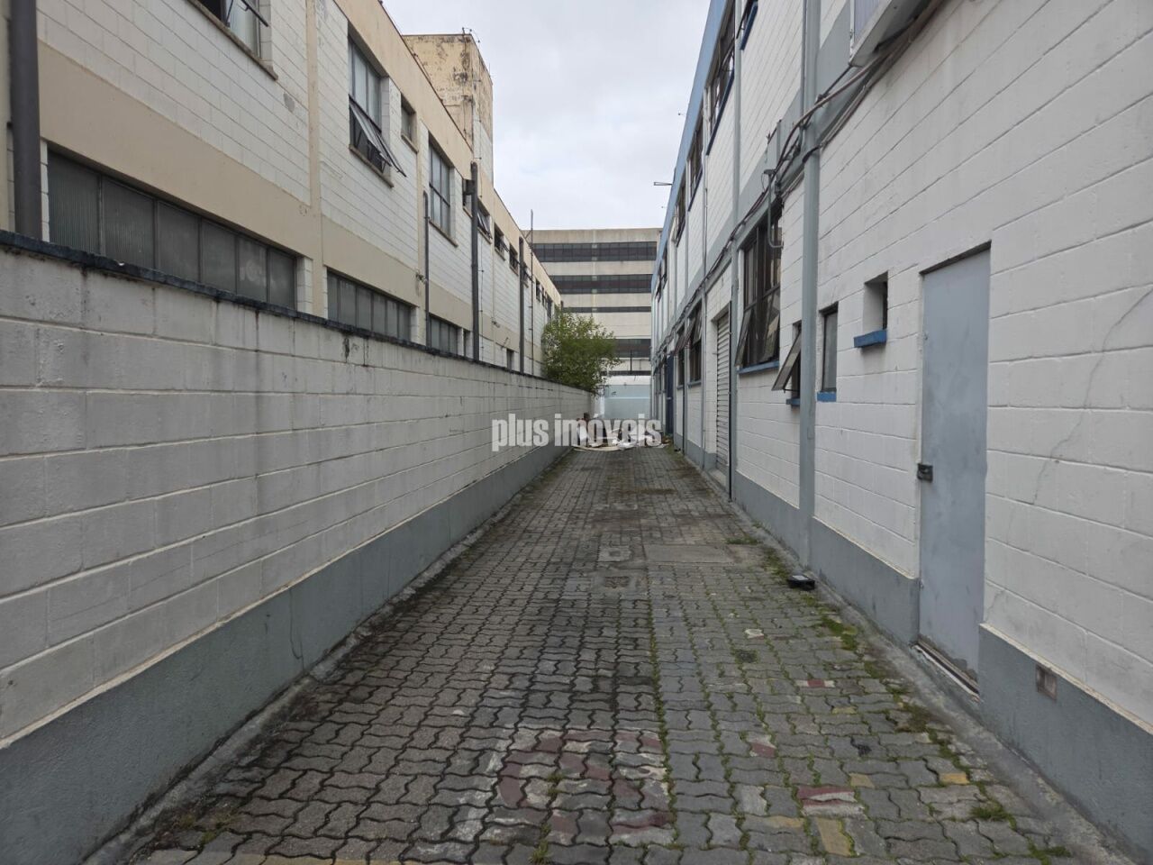 Prédio Inteiro, 2003 m² - Foto 11
