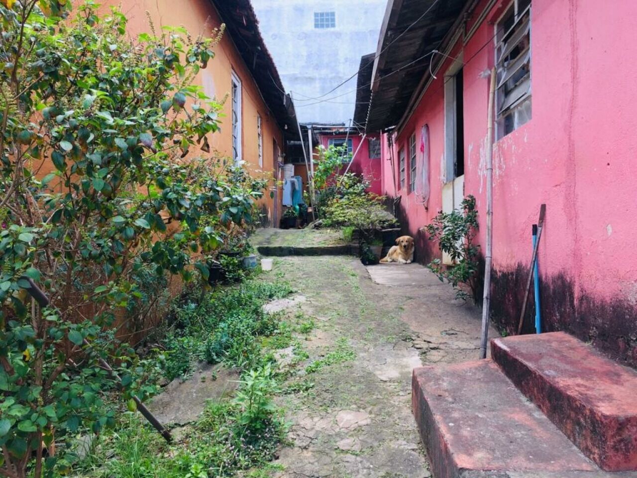 Terreno para Venda - Parque Peruche