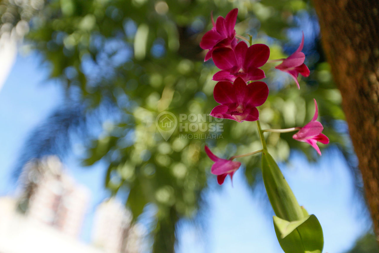 Foto 61 - PH43092