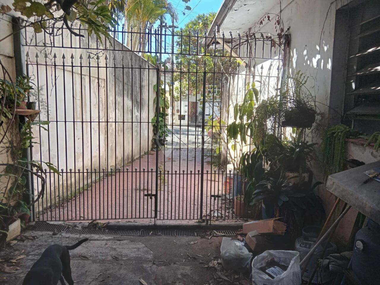 Casa térra à venda no Bosque da Saúde com 166m², 3 dormitórios e 6 vagas